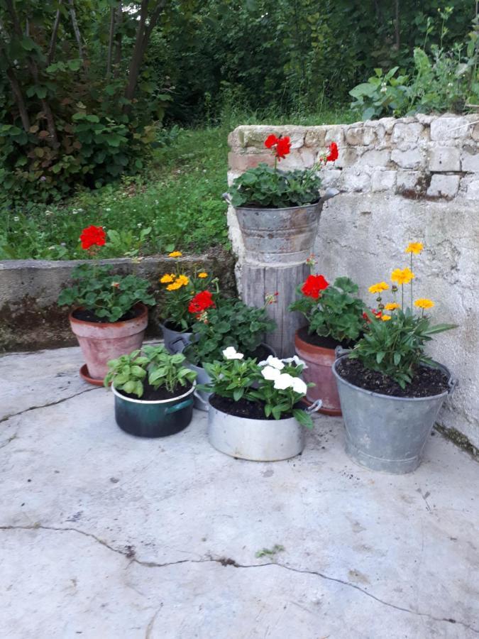 Bed and Breakfast Il Noccioletto Mombaruzzo Екстер'єр фото