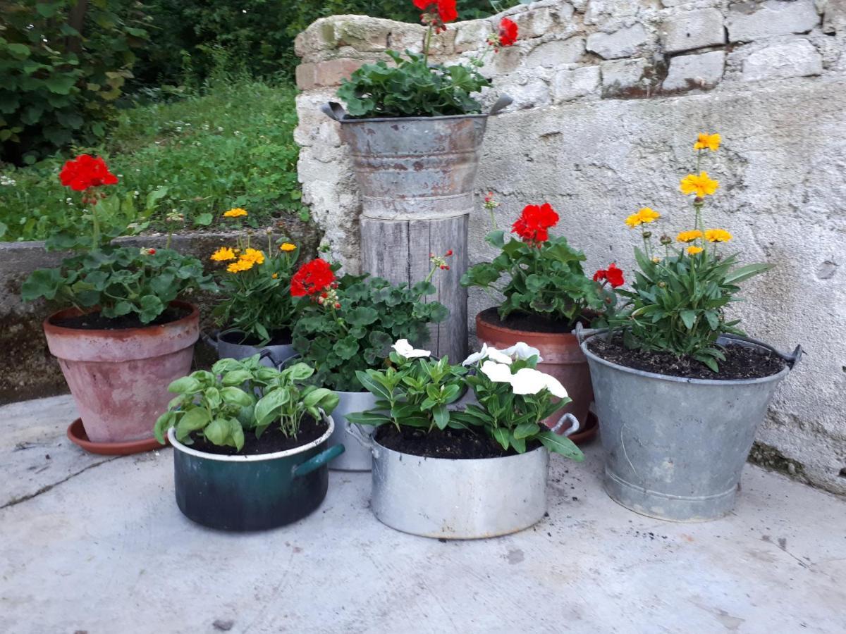 Bed and Breakfast Il Noccioletto Mombaruzzo Екстер'єр фото